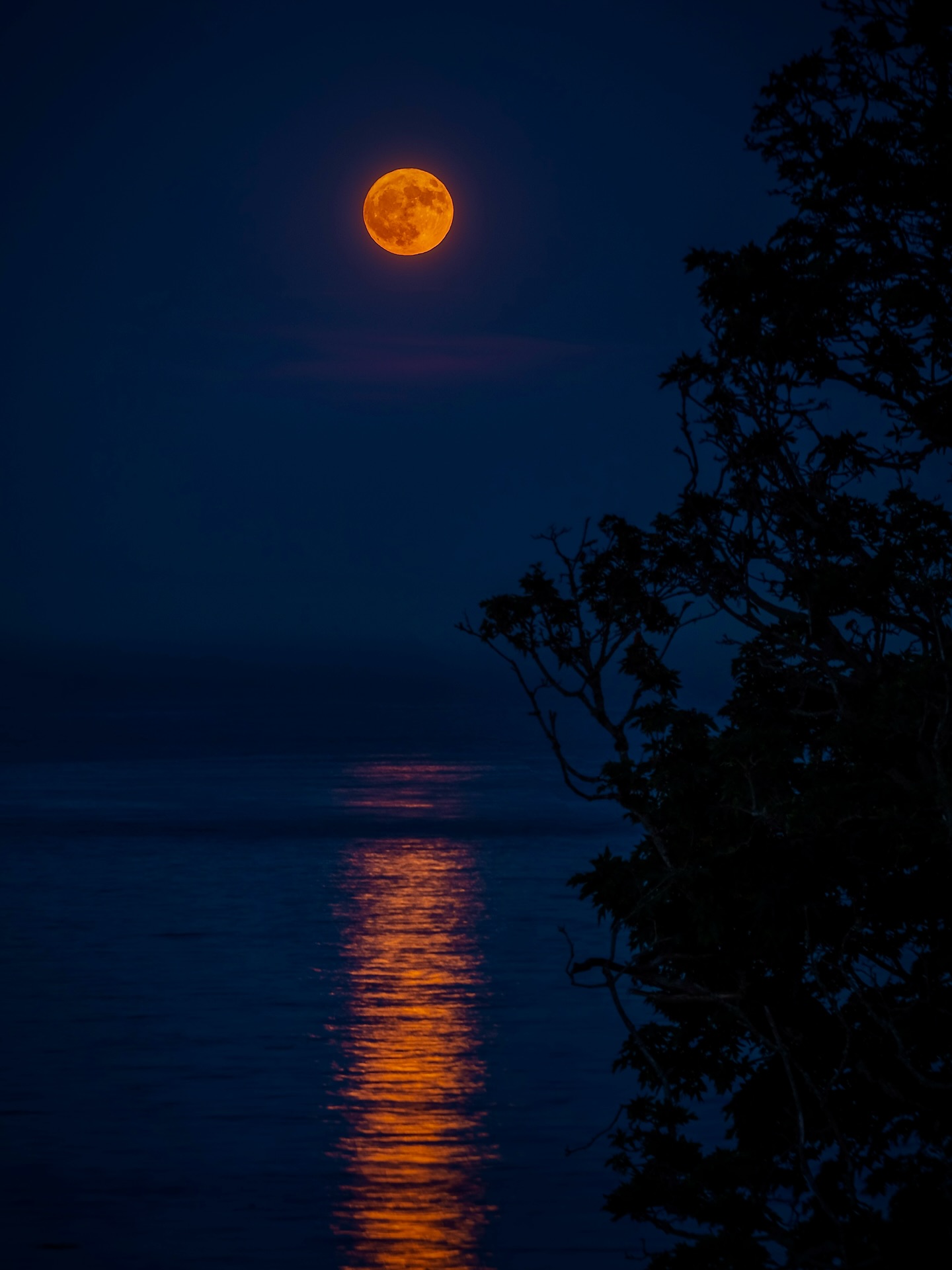 Look up! Strawberry Moon rises over Pacific Ocean.
Despite the name, it does not appear pink or red, unless when it is seen low on the horizon. The name merely suggests it’s a full moon in June, and the term comes from Native American traditions, signifying that wild strawberries are ripe and ready to be harvested.
This year the strawberry moon is special in one way only: it is “the lowest” in next 18 years. It doesn’t mean that it is closer to Earth, it only means that it will not rise as high from the horizon as it usually does. Not so exciting as click bait news headers make it sound, eh?
Nikon Z6 | 200mm | f:8 | 1/13s | ISO 200
5 EV-bracketing
#strawberrymoon #moon #vanisle #vadcouverisland