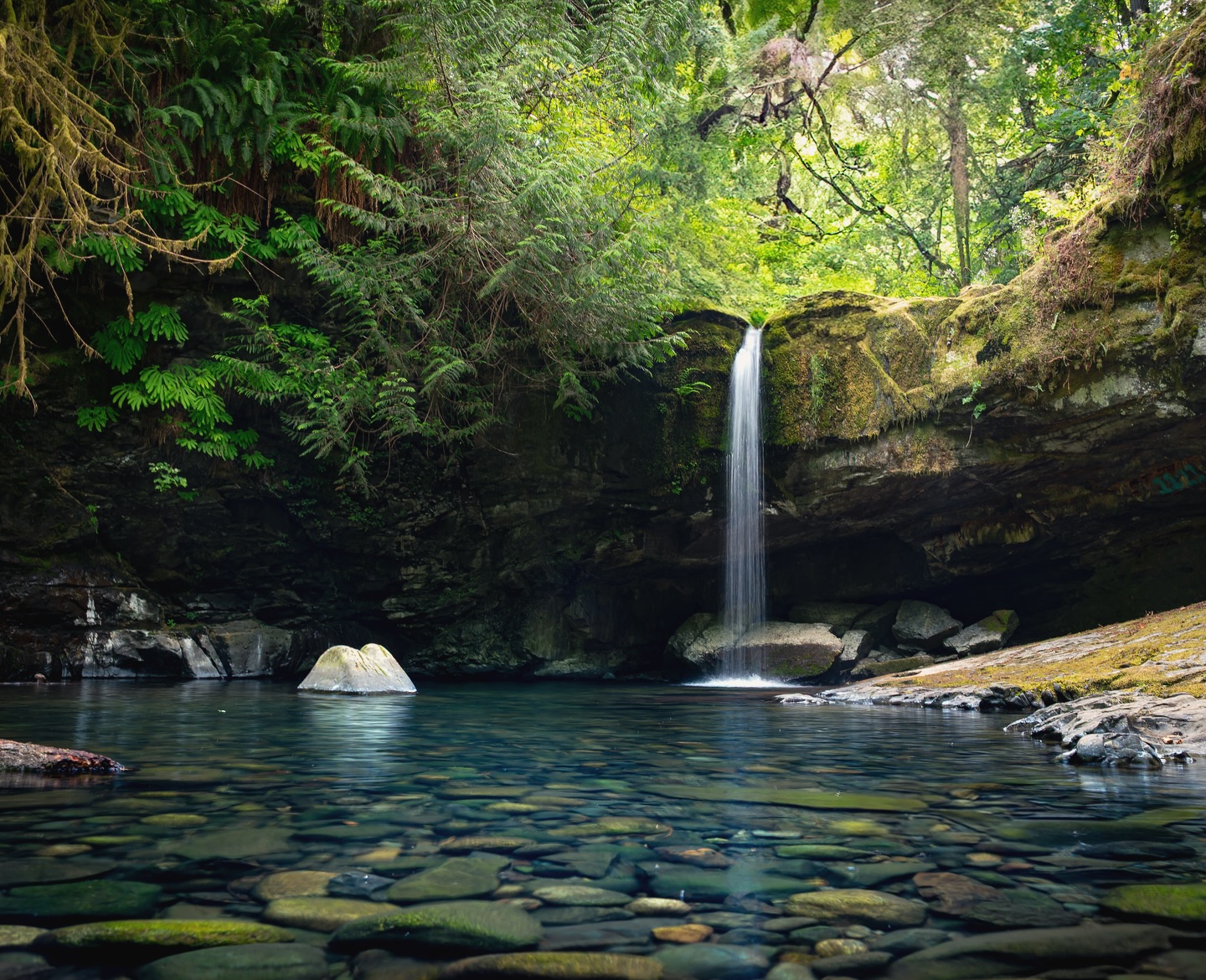 There’s a kind of serenity only a small waterfall can offer — gentle, rhythmic, and endlessly refreshing. Like nature’s whisper reminding you to breathe, slow down, and let it all flow.” 💧🌿
#WaterfallWhispers #NatureTherapy #SerenityFound
#waterfall #waterfalls #waterfallphotography #photooftheday #photography #canada #canadabeauty #nikonz6 #nikonphotography