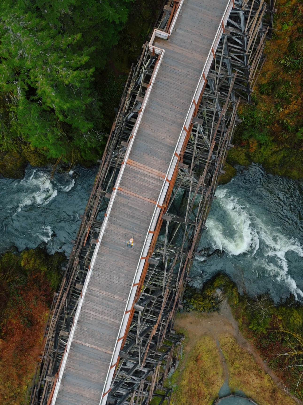 #VancouverIsland #ExploreBC #DroneView #BridgeWalk #NatureVibes #AdventureBC #WestCoastLife #DroneVideo #WildBC #IslandAdventures