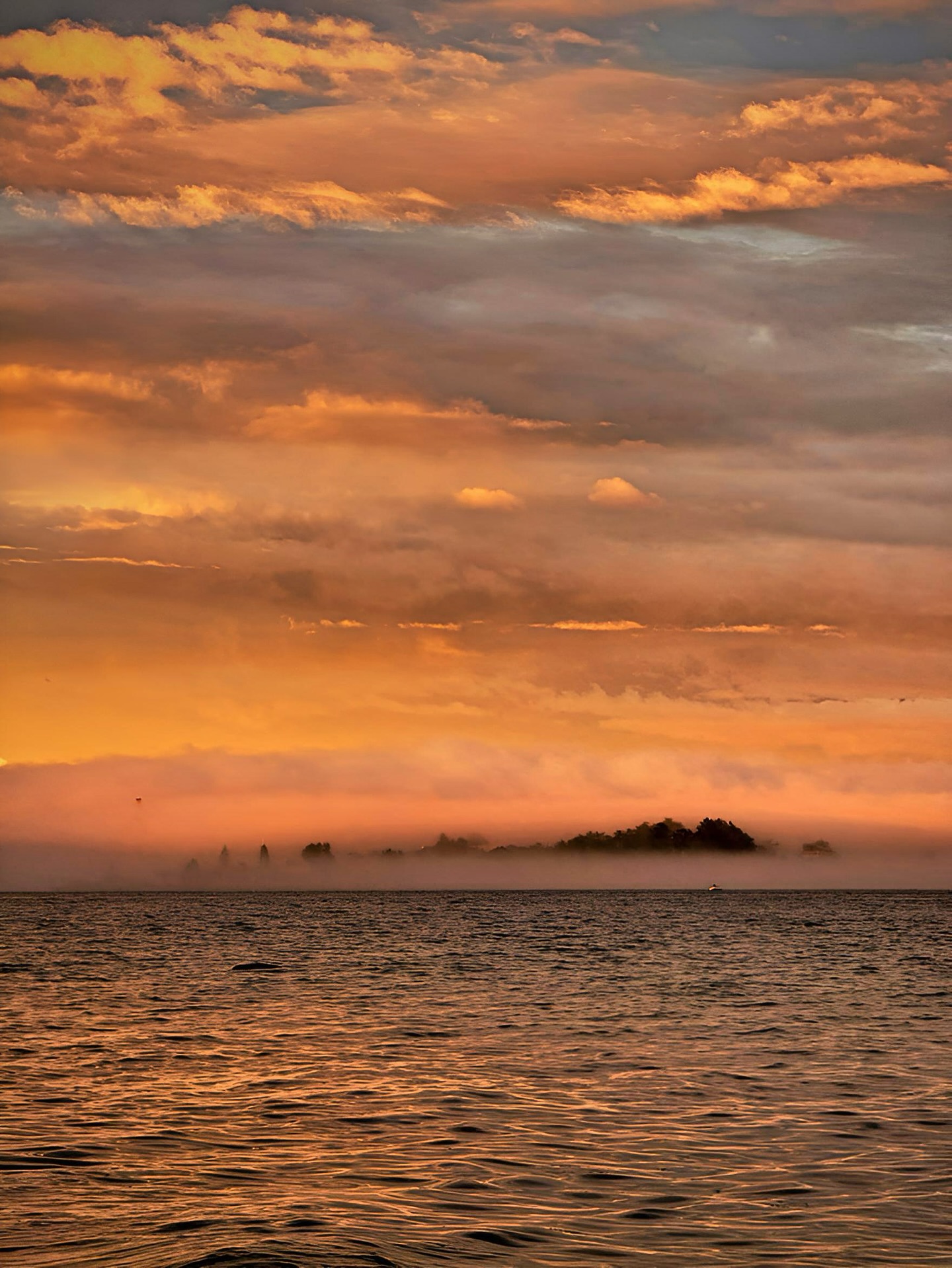 The sunset in Victoria, BC tonight is truly breathtaking