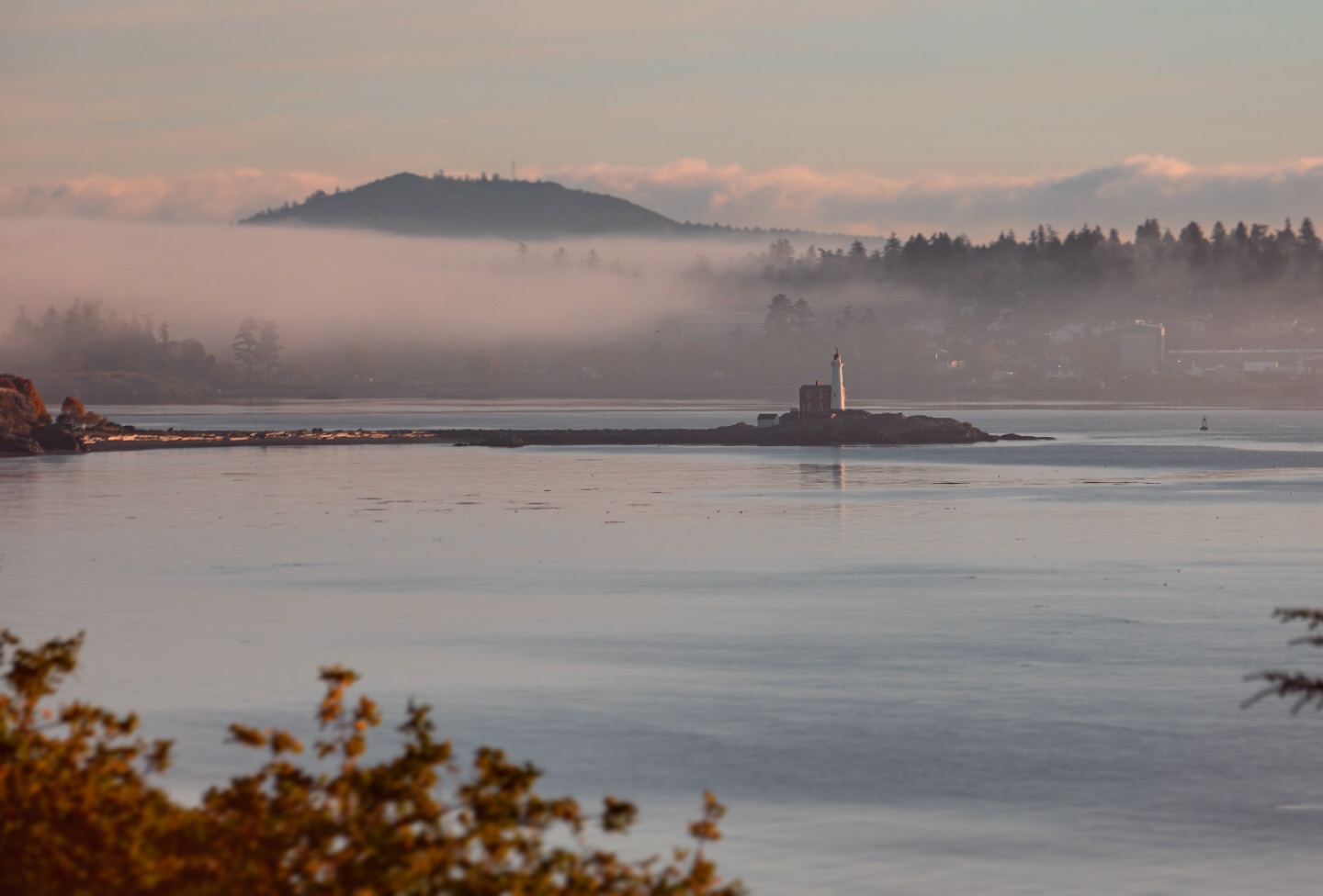 Morning in Colwood, BC