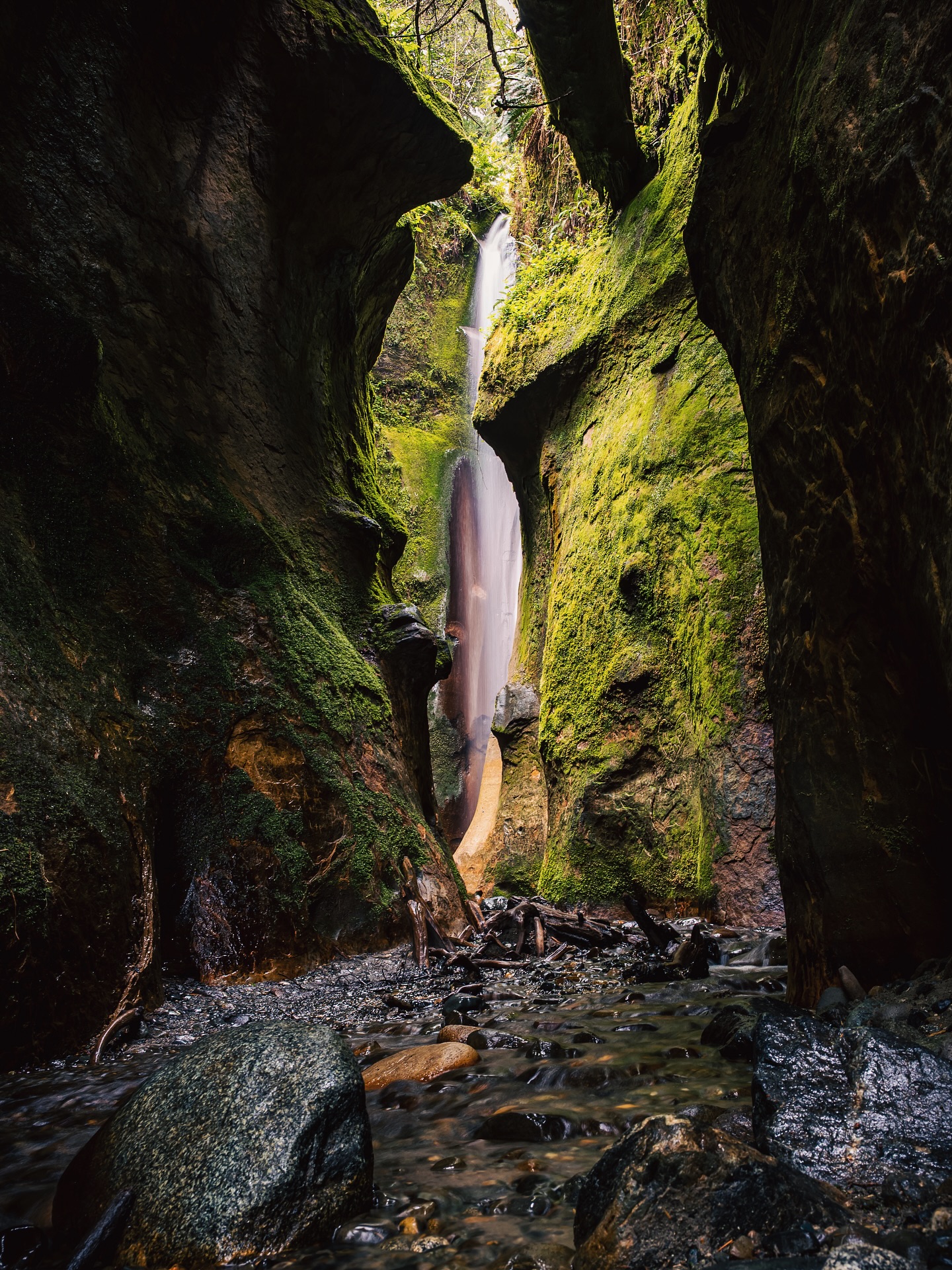 Tucked just off Sombrio Beach on Vancouver Island is a beautiful hidden waterfall inside a mossy canyon!

•  You have to follow a tiny creek from the beach to discover this secret spot
•  The area has been home to First Nations for over 5,000 years
•  You can camp right on the beach with ocean views and campfires

One of Vancouver Island’s coolest little surprises!
Have you been?

#sombriobeach #explorebc #beautifulbritishcolumbia #vancouverisland