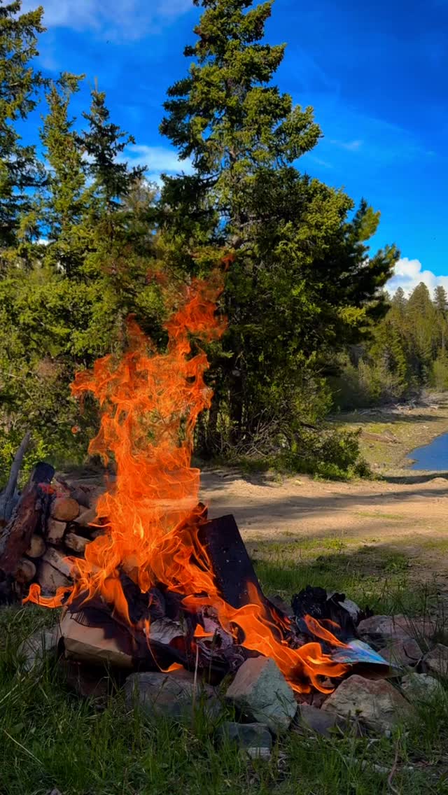 Watch the fire watch the stars, watch the tides, not some stupid shows, yet alone podcasts or reels. Yes, this stupid reel included.