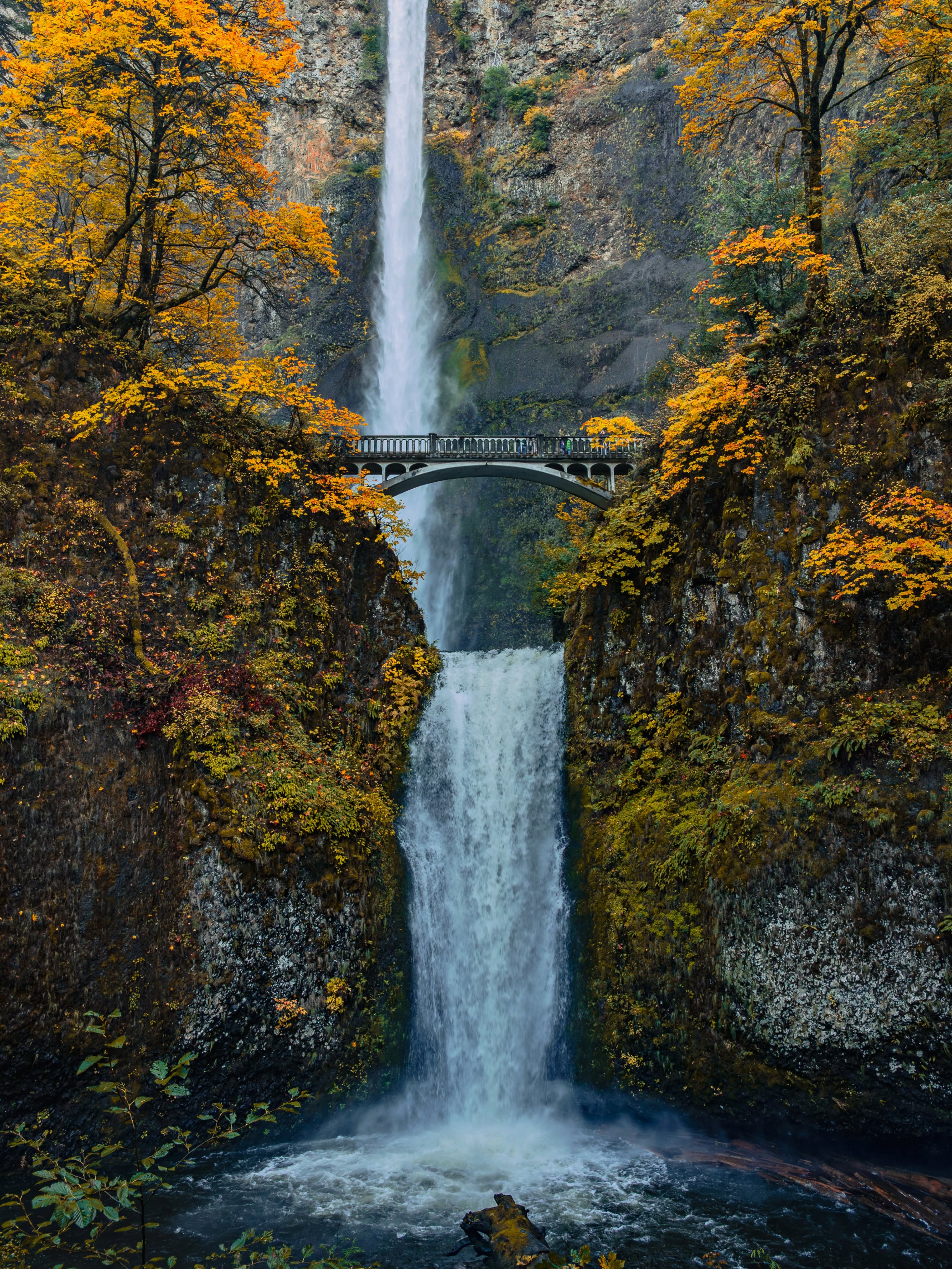 Legendary Oregon waterfall that must be in everyone’s bucket list. I did not expect much from it, coming from the waterfalls country, but still I was not prepared for this…